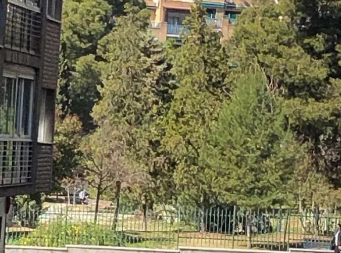 Constitucion Confort I